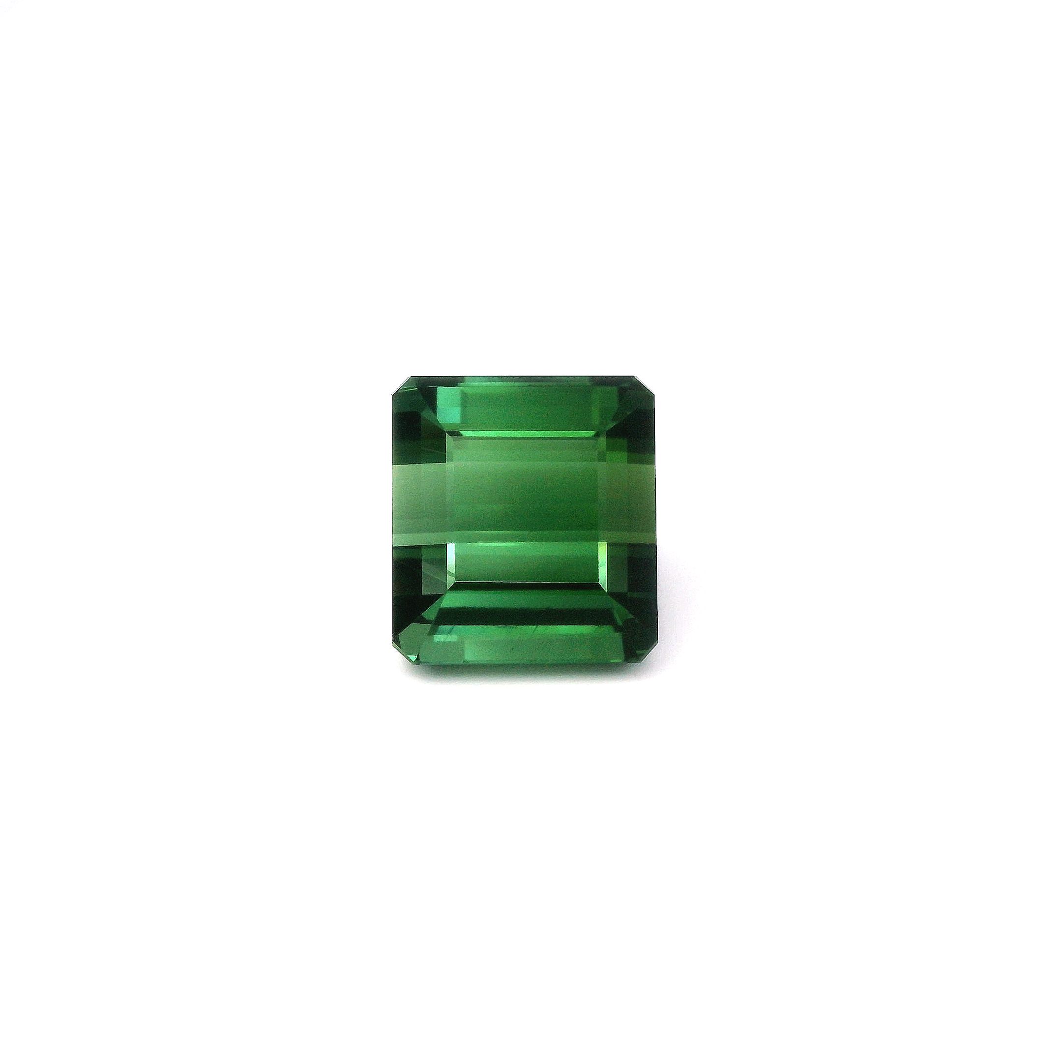 31.36 ct Tourmaline