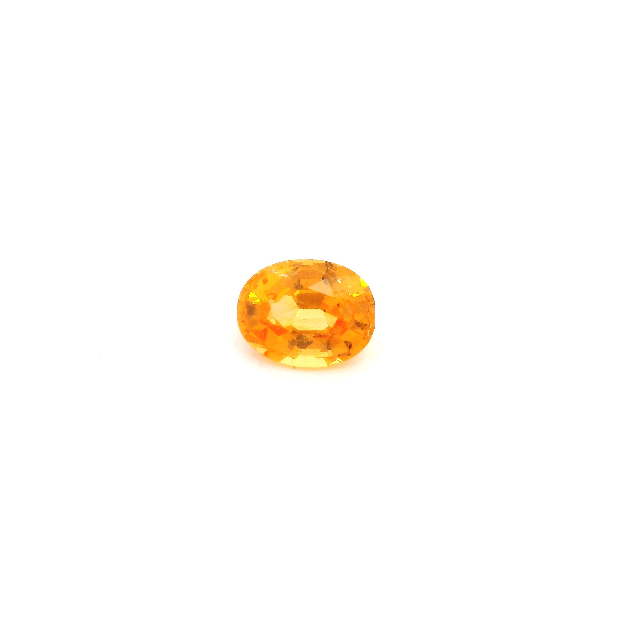 0.84 ct Garnet