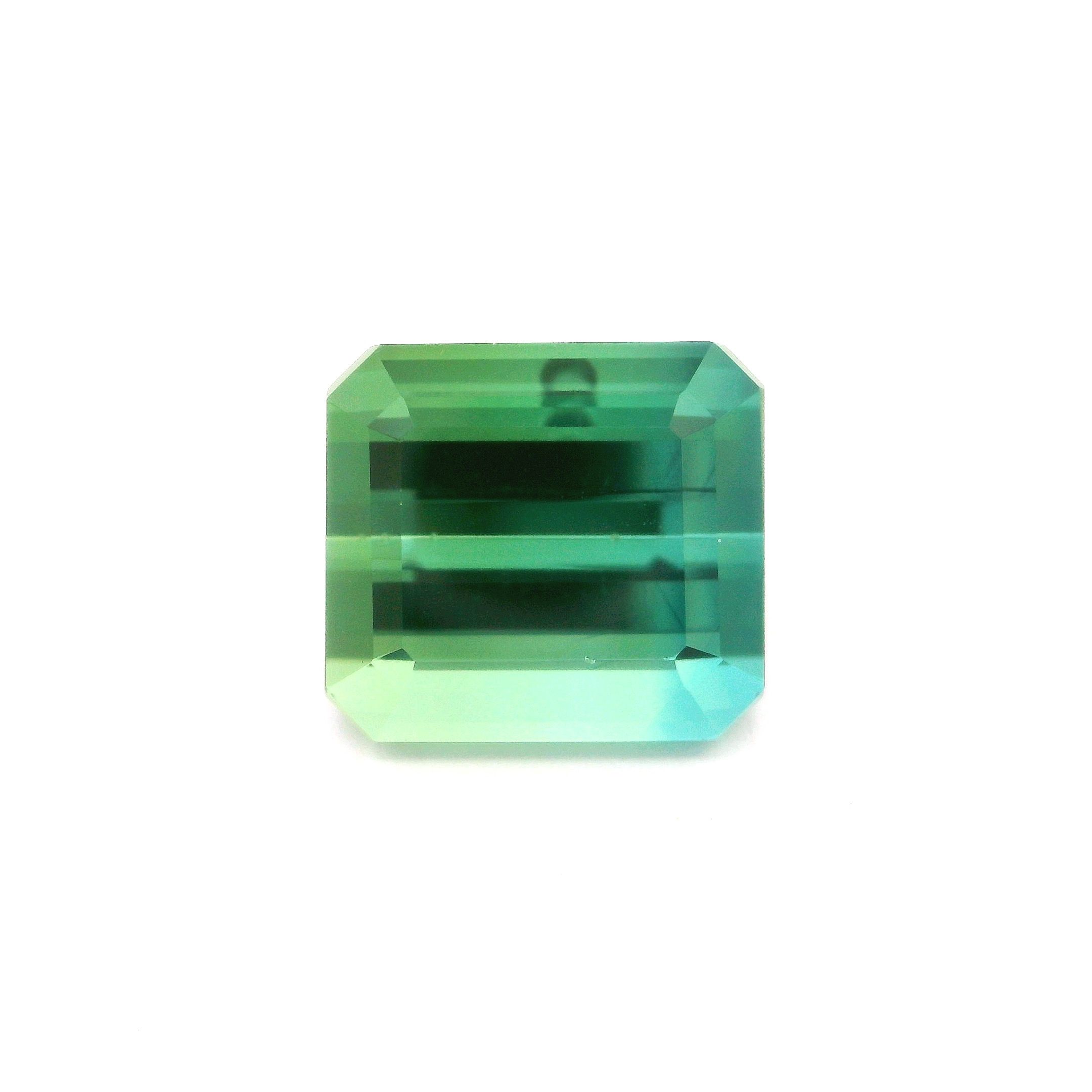 Turmalin 8,80 ct, zielony, szlif ośmiokątny