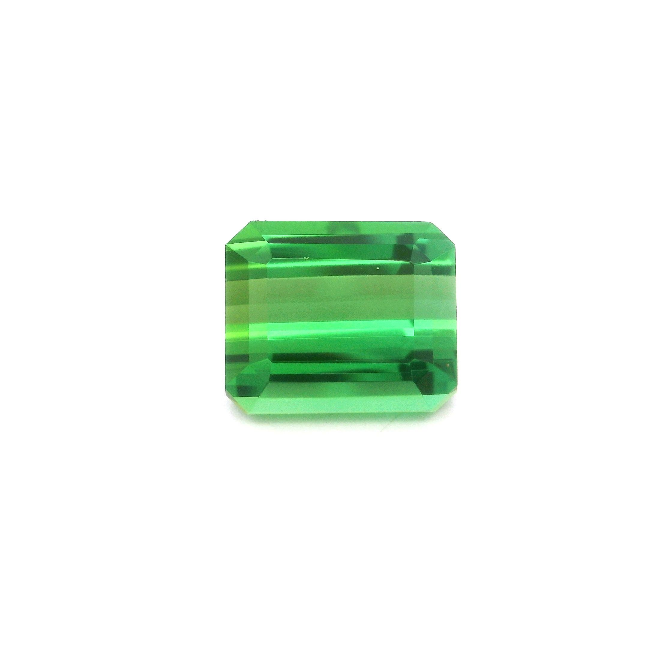 Turmalin 4,90 ct, zielony, szlif ośmiokątny