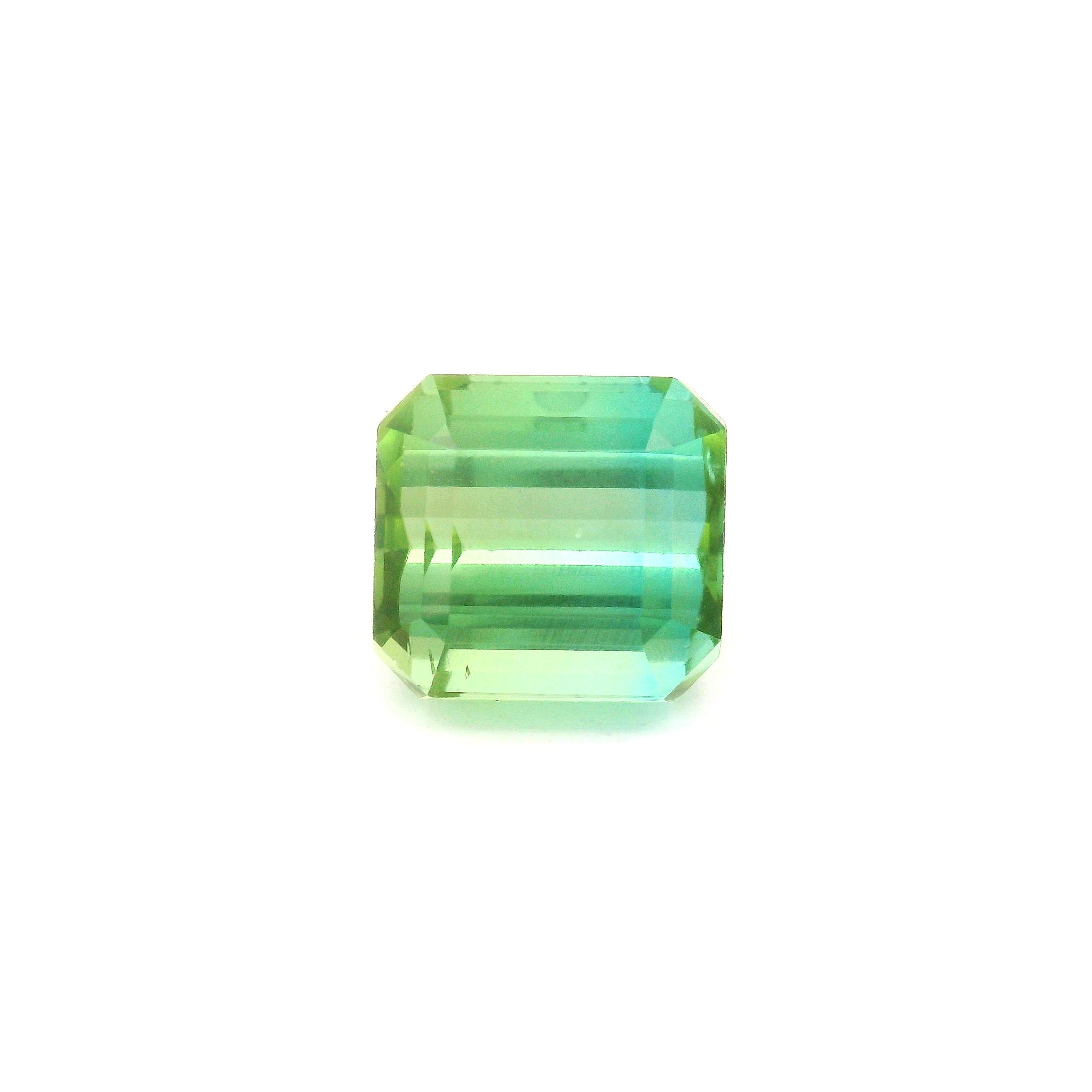 5.01 ct Octagonal tourmaline