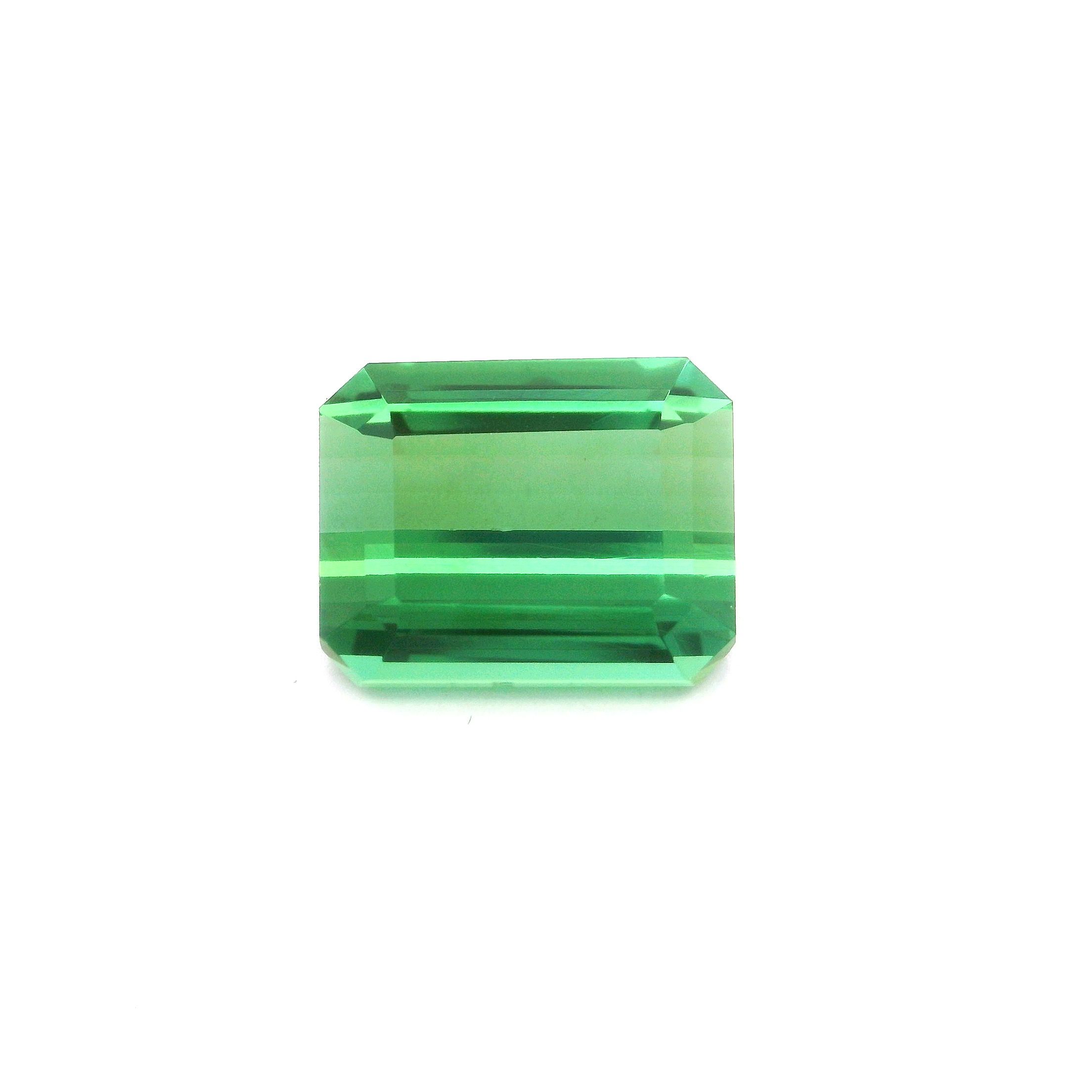 Turmalin 5,46 ct, zielony, szlif ośmiokątny