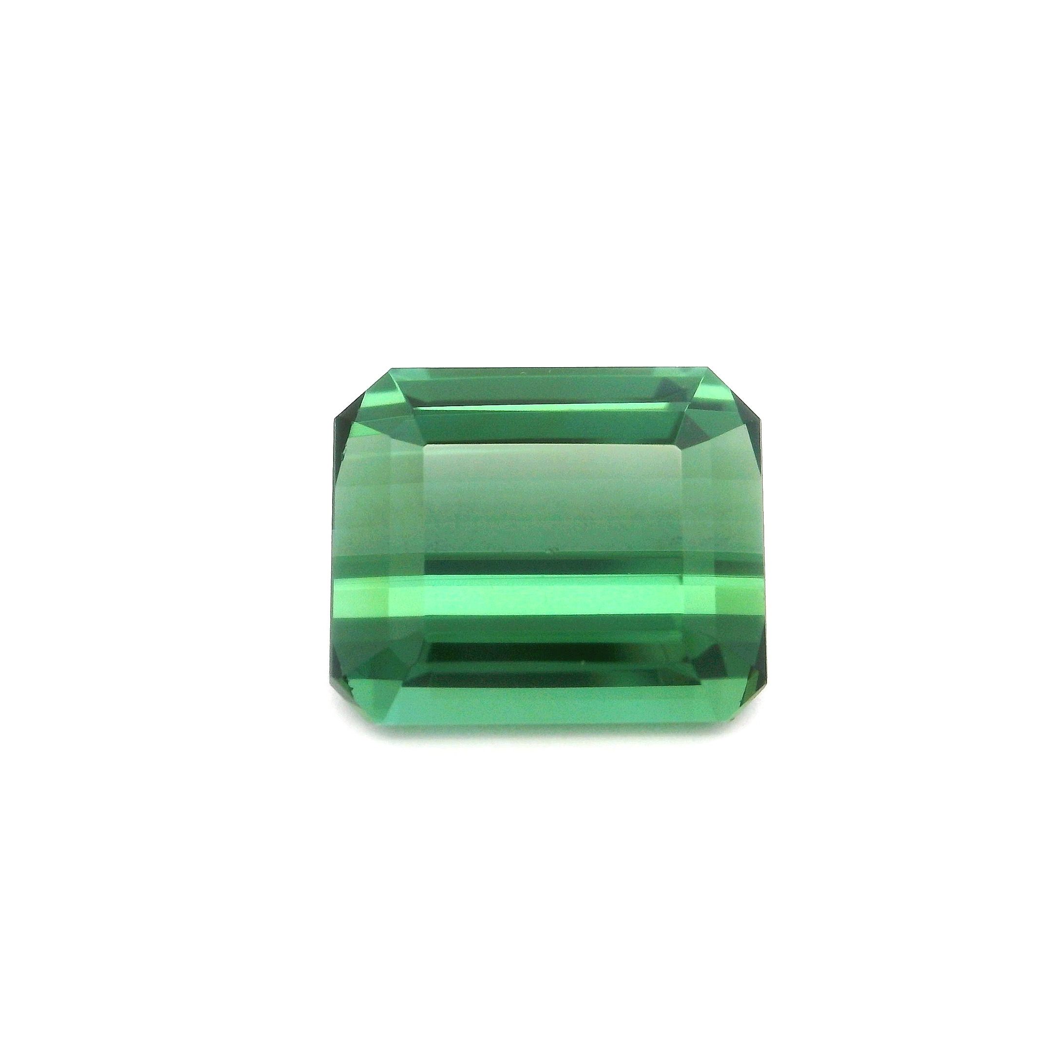 Turmalin 6,07 ct, zielony, szlif ośmiokątny