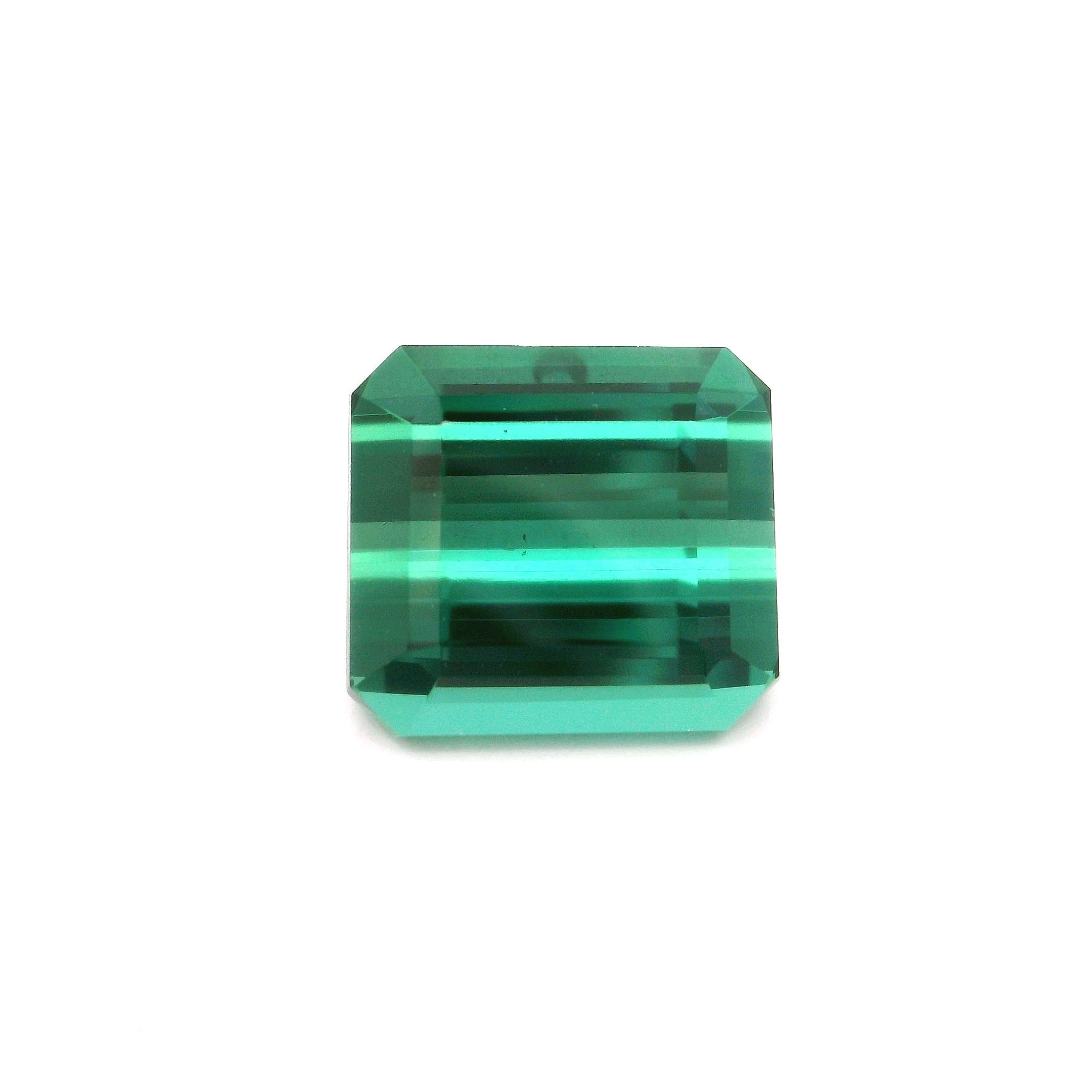 8.13 ct Octagonal tourmaline
