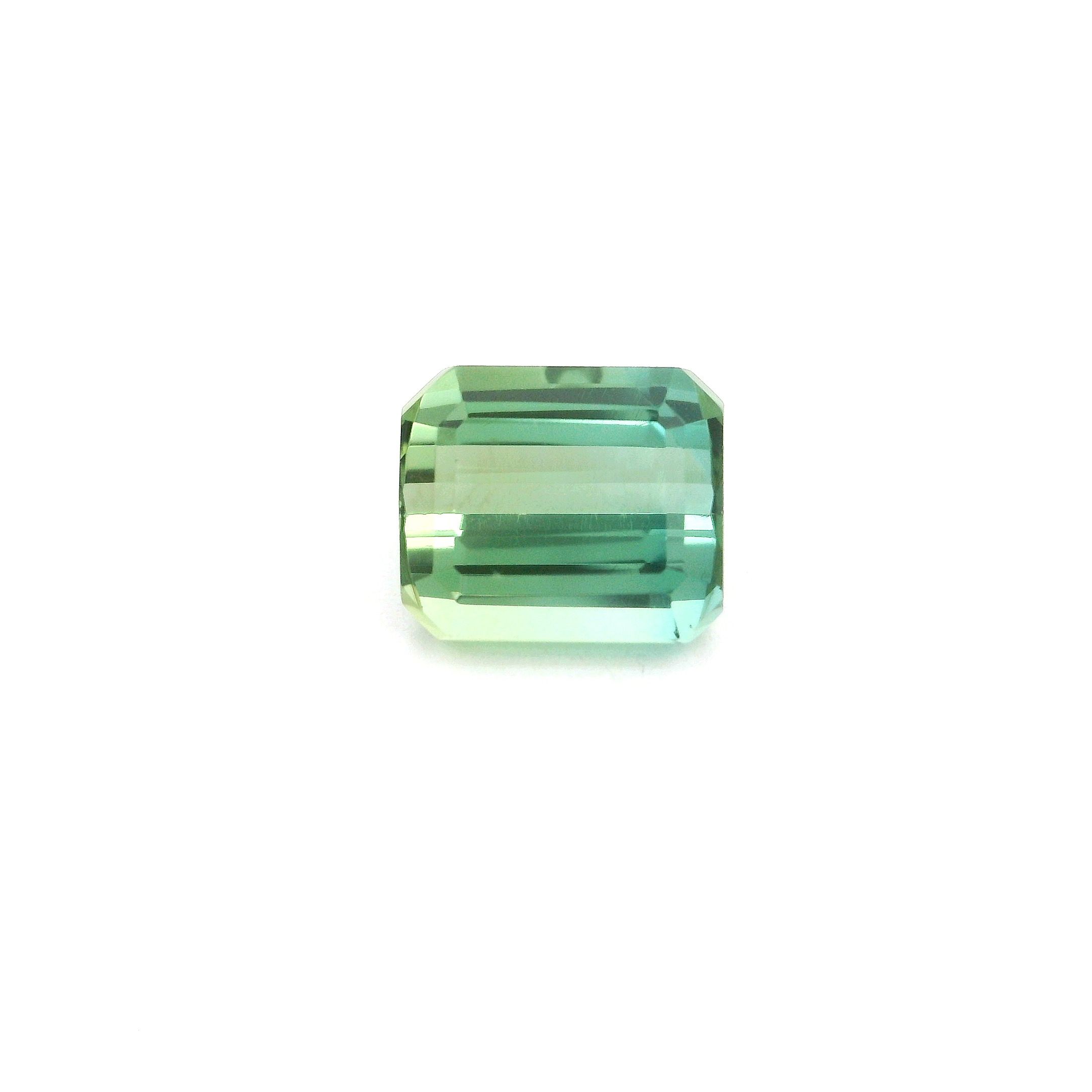 Turmalin 2,93 ct, zielony, szlif ośmiokątny