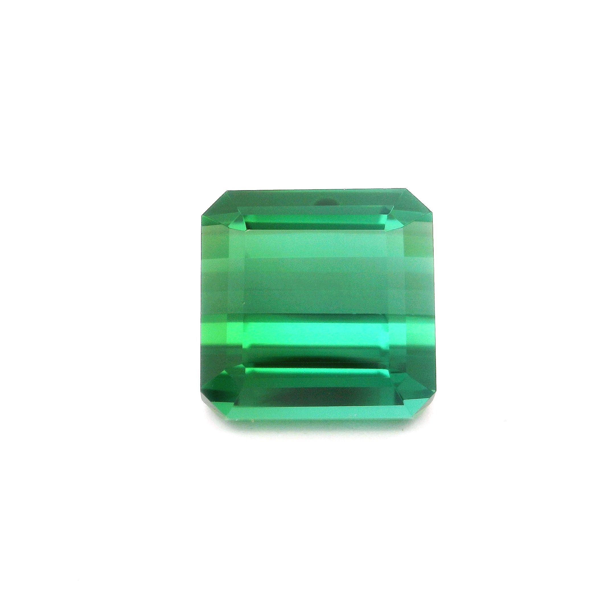 Turmalin 10,04 ct, zielony, szlif ośmiokątny