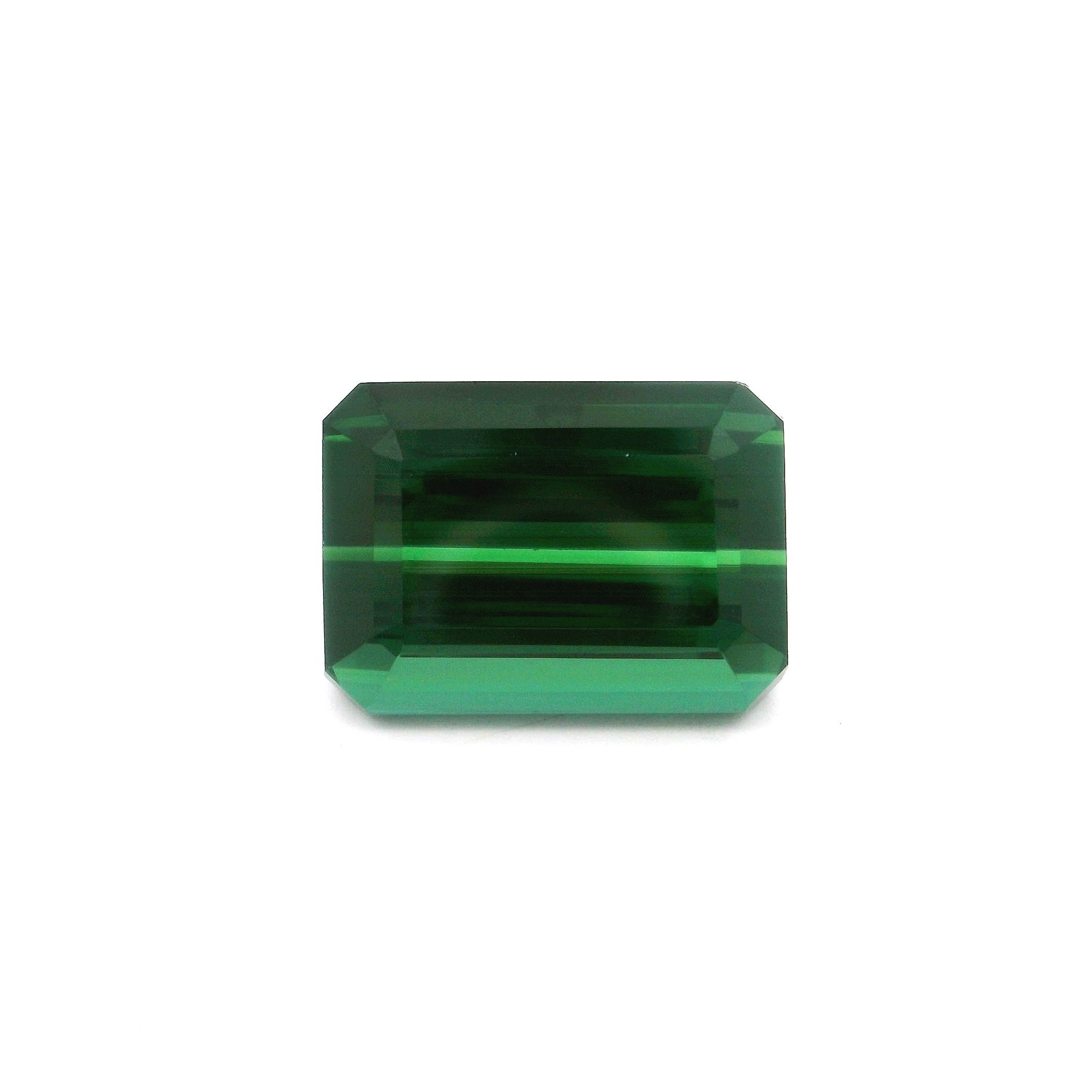 Turmalin 11,77 ct, zielony, szlif ośmiokątny