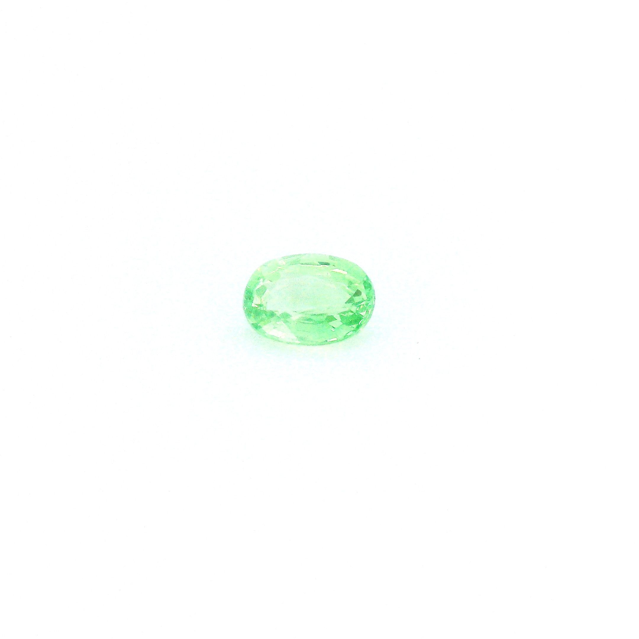 0.41 ct Garnet