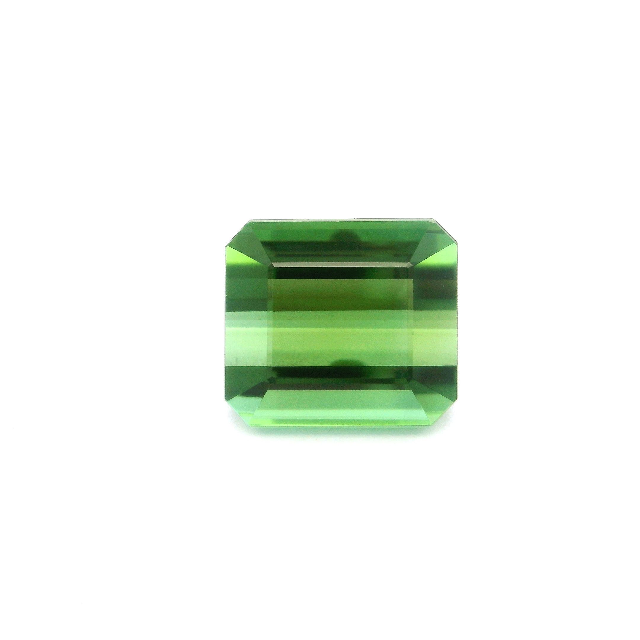 Turmalin 6,02 ct, zielony, szlif ośmiokątny